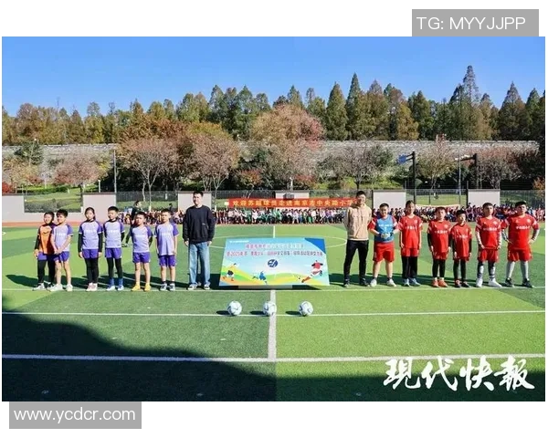 赛后分析：西安足球队与成都足球队的团队协作表现及其影响探讨