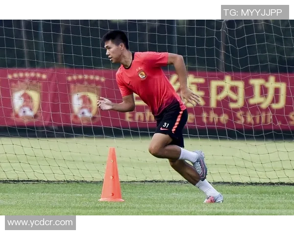 足球明星对恒大球星的精彩点评与分析展现中国足球的未来潜力与发展方向 足球明星对恒大球星的精彩点评与分析展现中国足球的未来潜力与发展方向