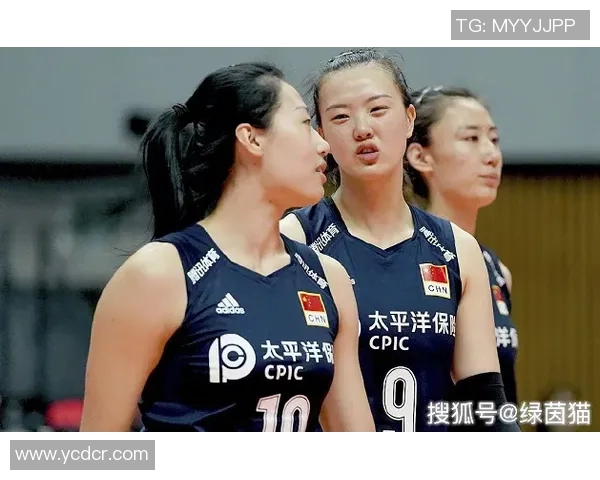 冠军赛积分榜：广州排球队以81分领跑