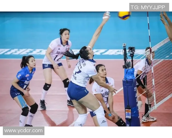 排球专题：聚焦深圳排球队的耐力