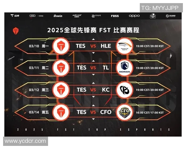 数据分析：TES的灵活性表现