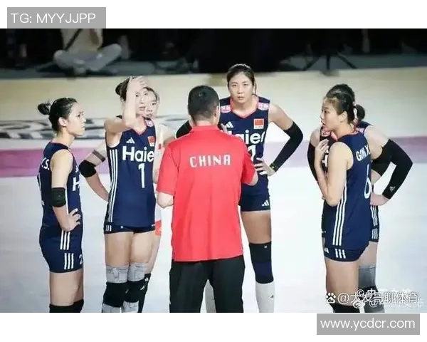 2026排球技术排行榜：北京排球队位居第2名